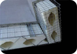 foampanel.jpg