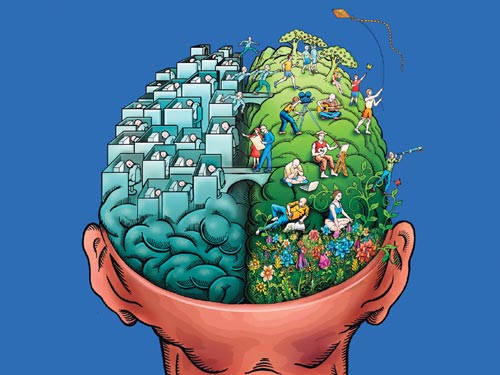 FF_70_brain1_f.jpg
